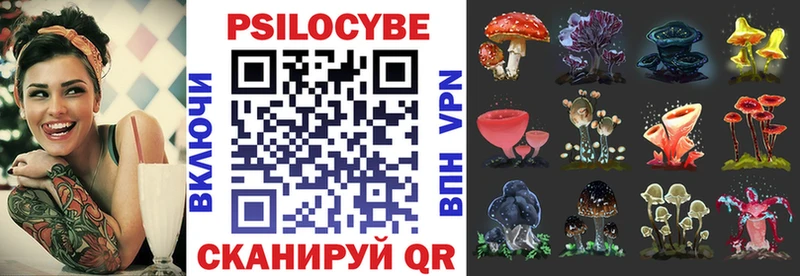 Псилоцибиновые грибы прущие грибы  купить  цена  Красногорск 