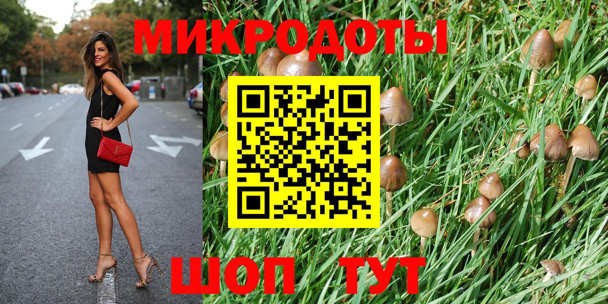 Псилоцибиновые грибы MAGIC MUSHROOMS Красногорск